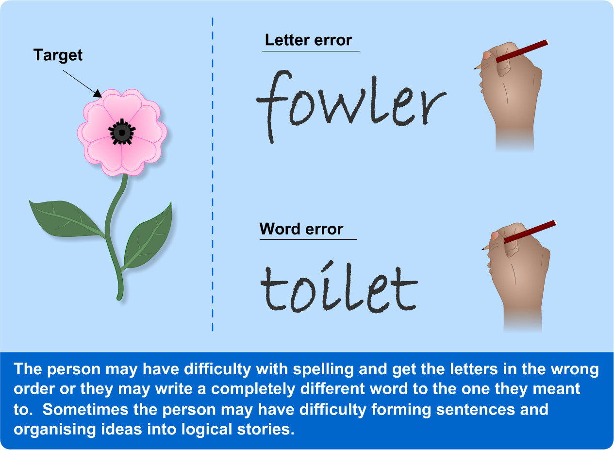 stroke-sufferer sees a flower but hand-writes it as 'fowler' which is a letter error; alternatively writes it as 'toilet' which is a word error