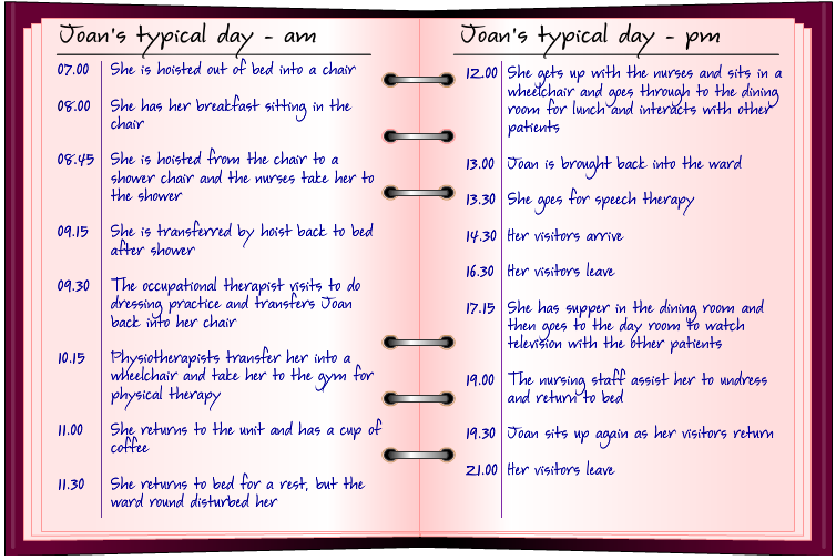 Joan's diary