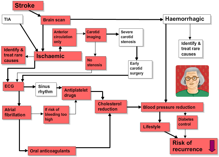 A diagram that shows how to reduce Isa's risk of future strokes