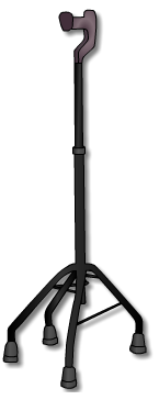 A quad walking stick