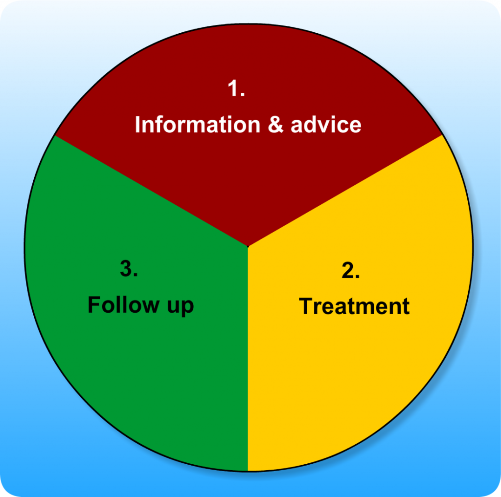 pie chart divided into three equal parts: information and advice, treatment, and follow-up