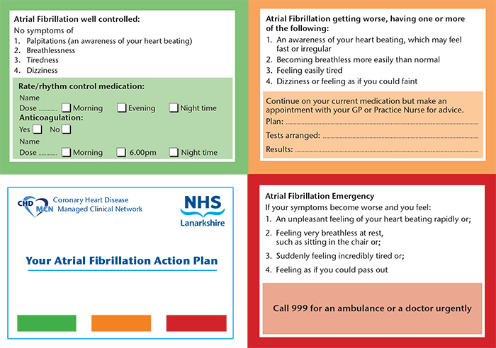 AF action plan