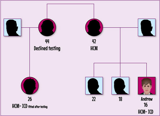 Andrew's family tree cascade screening