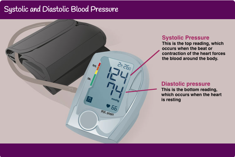 Blood pressure cuff and monitor