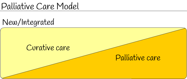 Palliative care model