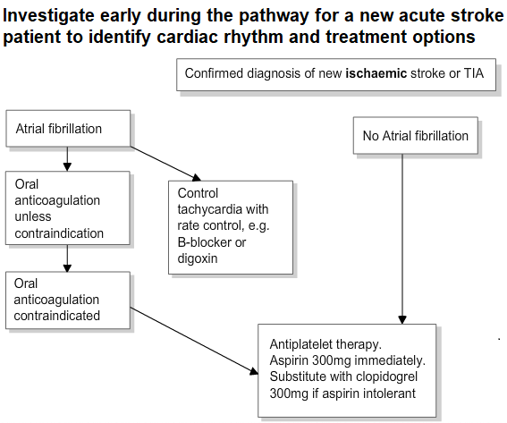 Investigation early during the pathway for a new acute stroke patient to evaluate cardiac rhythm