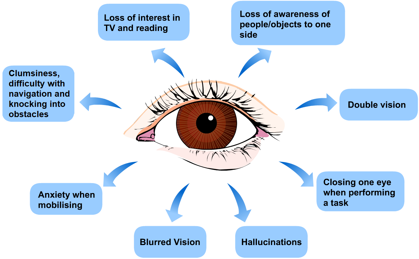 labelled diagram showing eye and common visual problems following stroke. See details below.